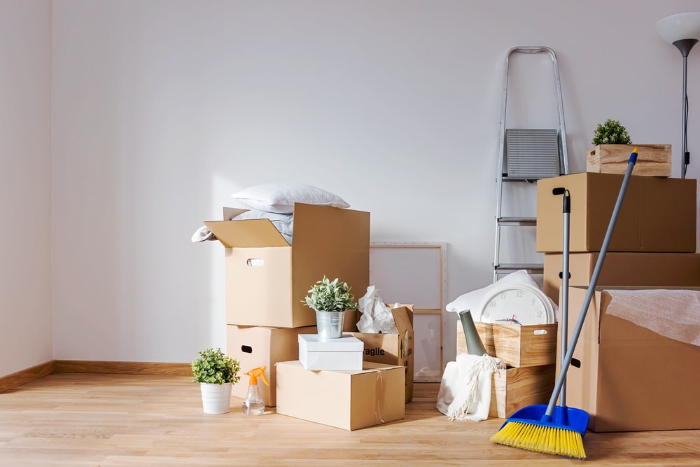 move-in-1